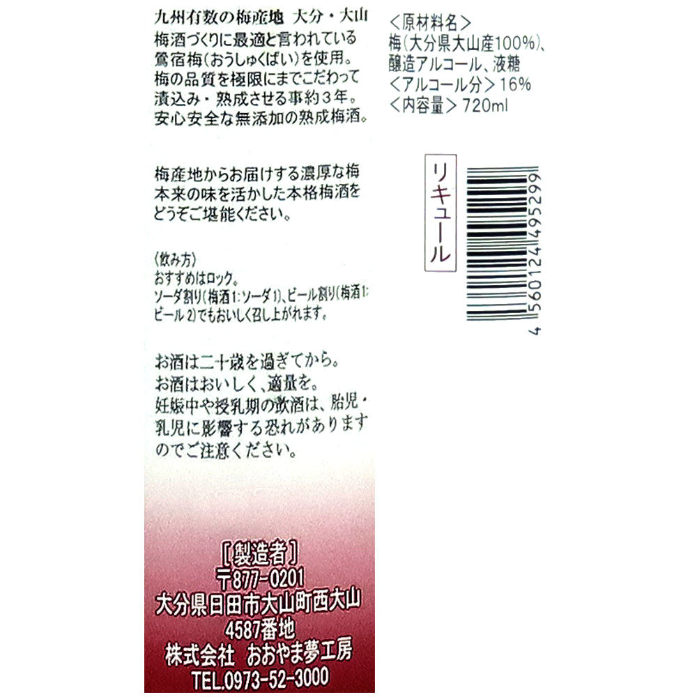 4560124495299