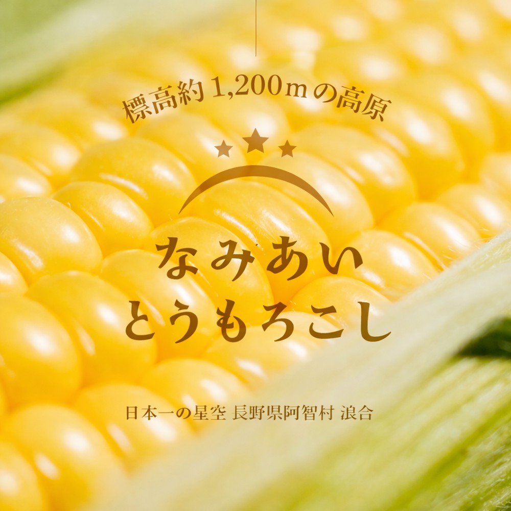 4582545480487