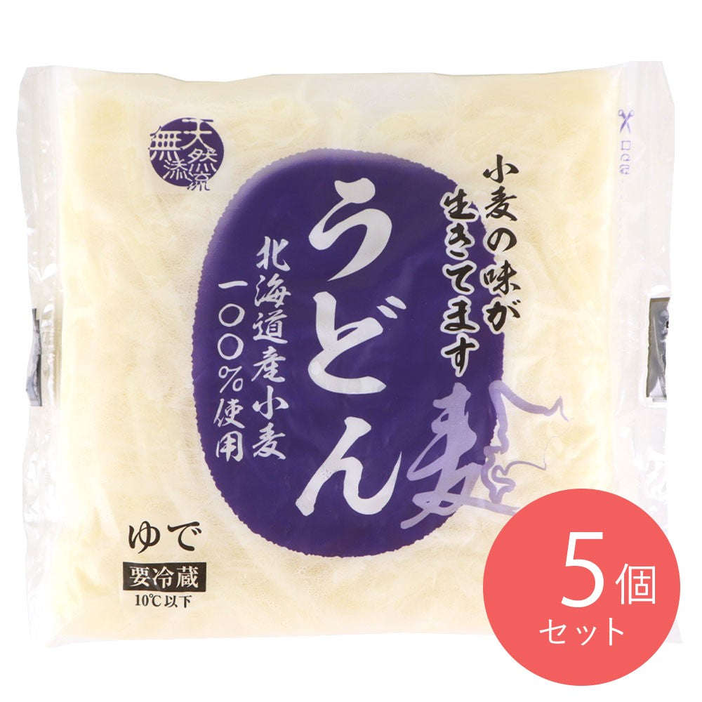 豊国ヌードル 北海道産小麦100%うどん 200g×5個 | D+2 – 成城石井.com