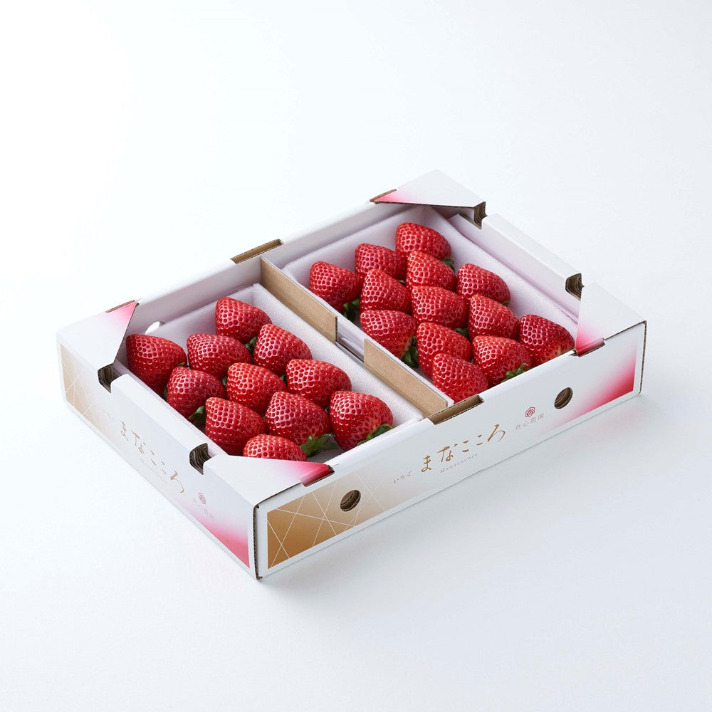 いちごまろん ぐんまエコファーマー認定農園 ふるさと納税でも大人気！ フルッティ