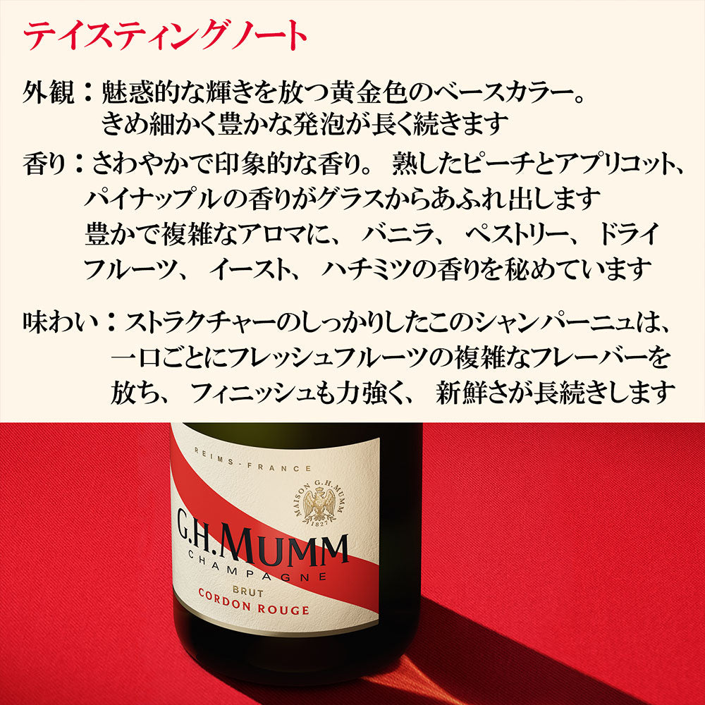 フランス シャンパーニュ マム コルドンルージュ グラス2脚セット