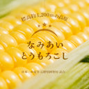 4582545480487