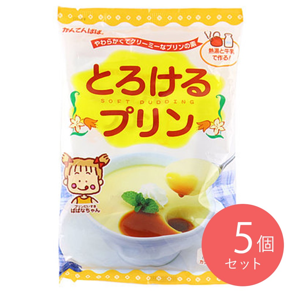 伊那食品 とろけるプリン 210g×5個 | 成城石井.com