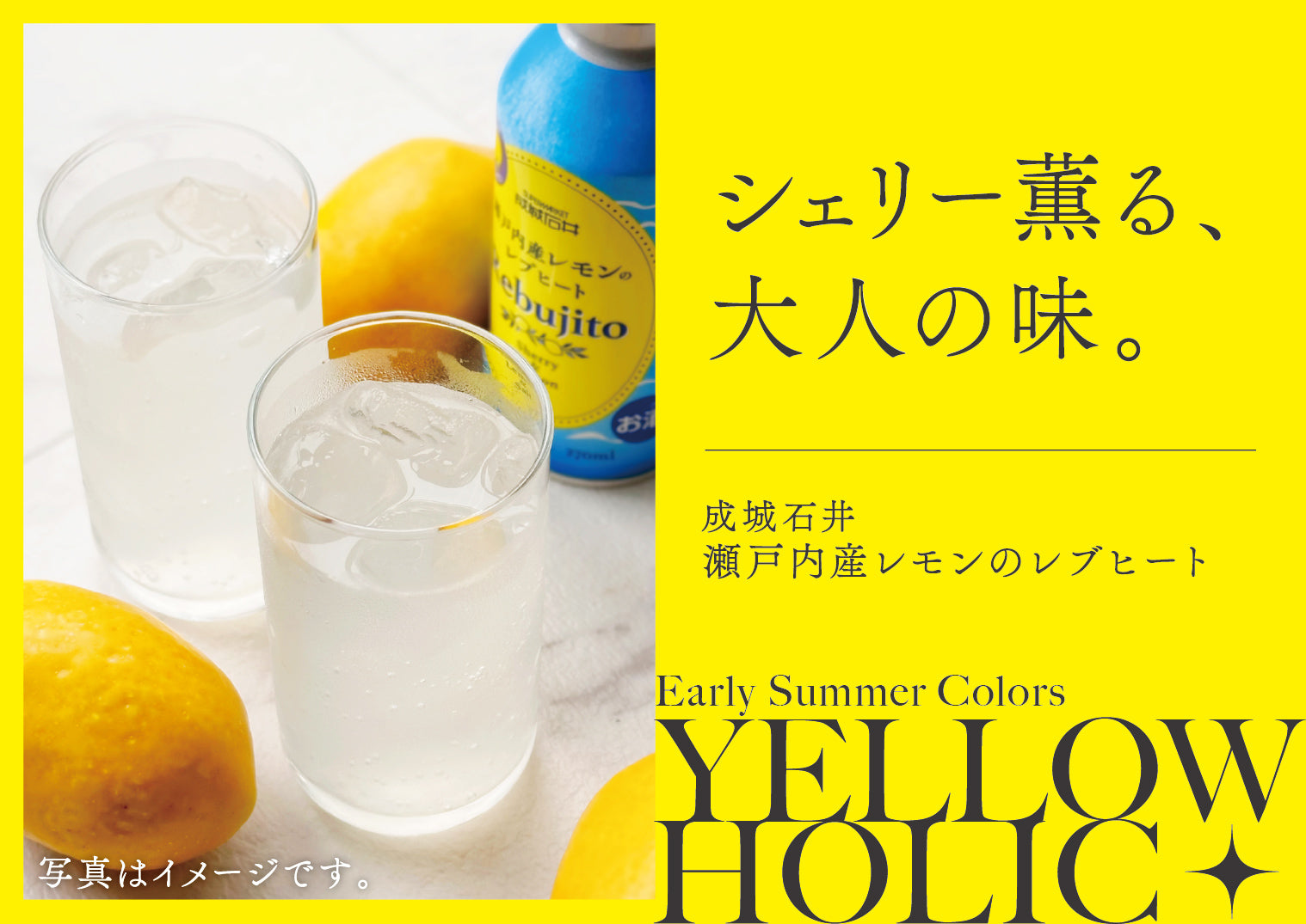 Early Summer Colors - YELLOW HOLIC - | 成城石井.com