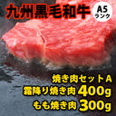 4953762775241