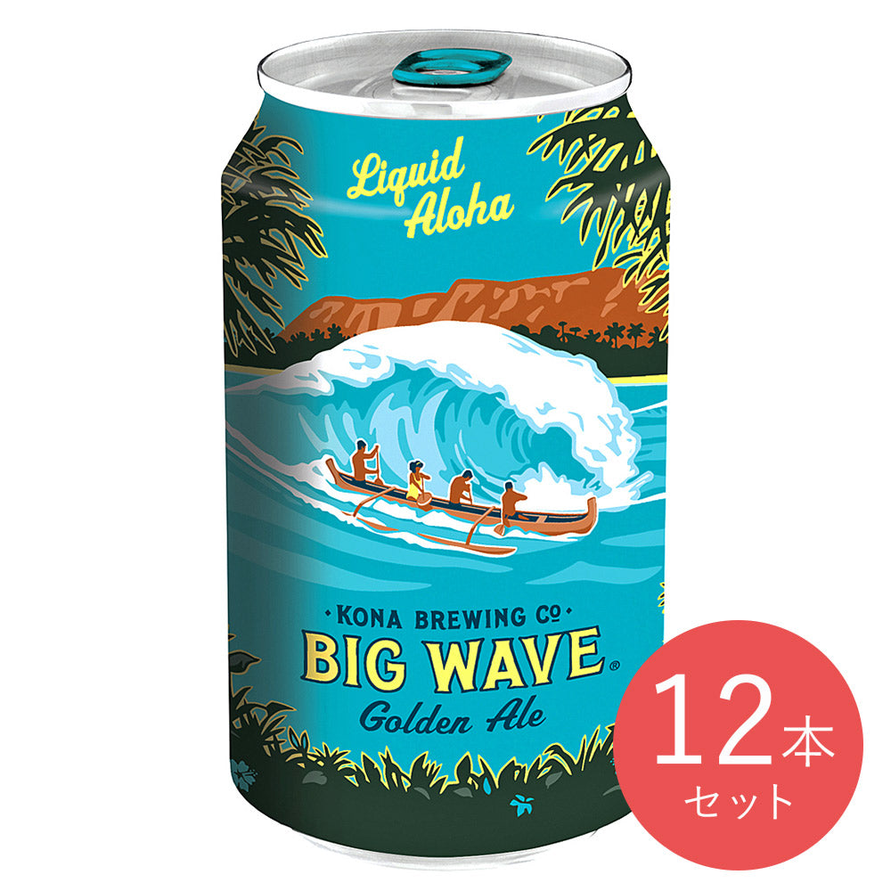 アメリカ コナ ビッグウェーブ缶 355ml×12本