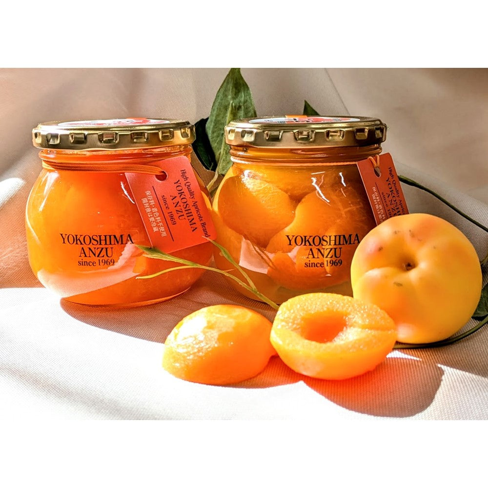 お取り寄せ】【WR】横島物産 特選 杏4点ギフト | 沖縄・離島配送不可