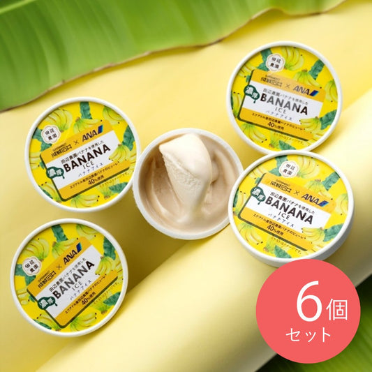 【送料込み】成城石井×ANA 田辺農園バナナを使用した濃厚バナナアイス 122ml ×6個