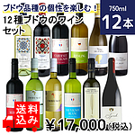 ★【送料込み】ブドウ品種の個性を楽しむ！12種ブドウのワインセット 750ml×12本 【DB】
