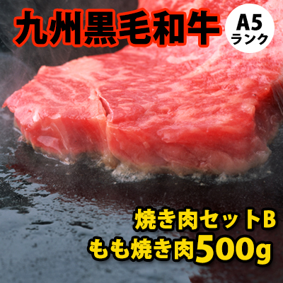 九州黒毛和牛 A5ランク 焼き肉セット 【B】 500g 【S】| D+2